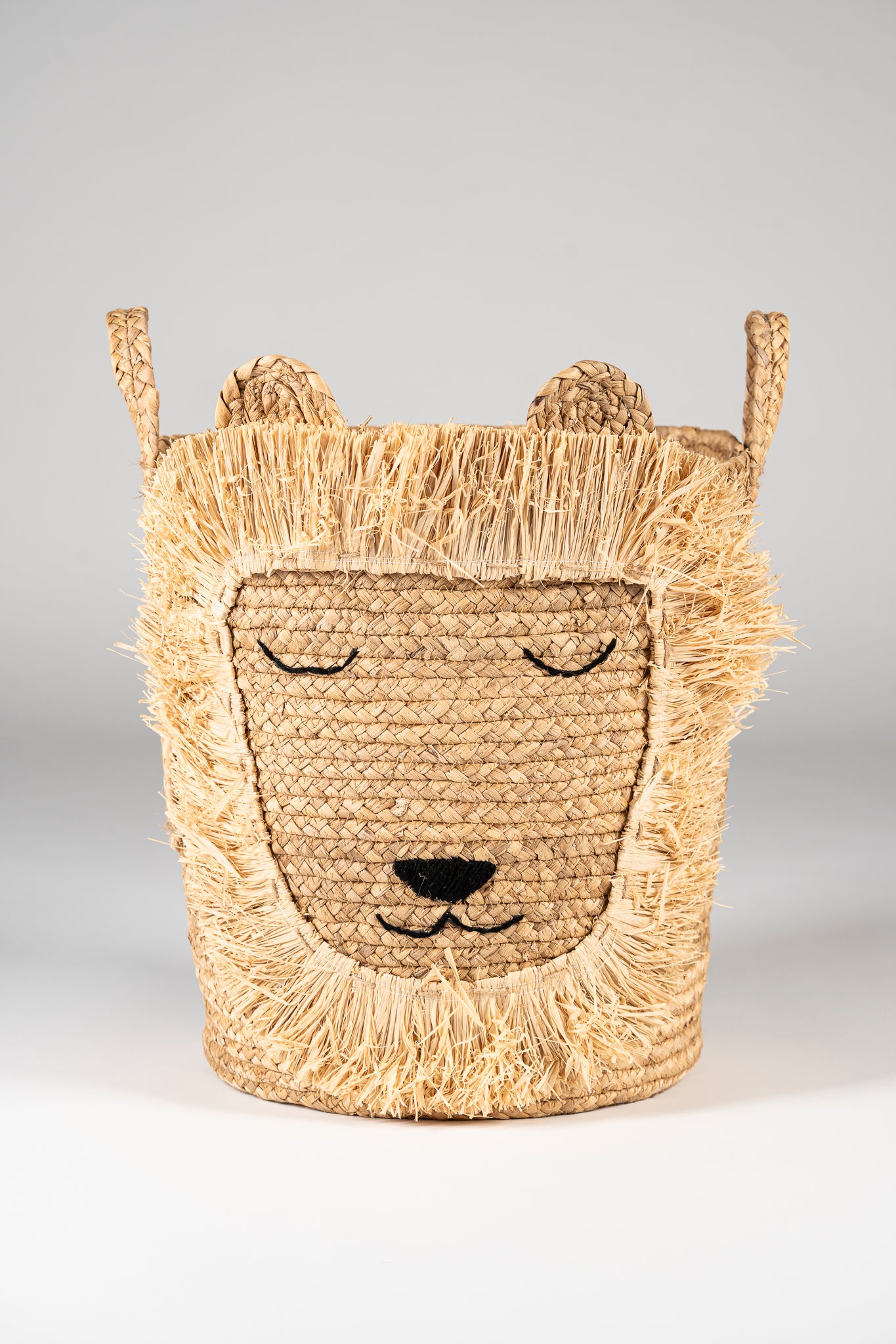 Large Lion Basket