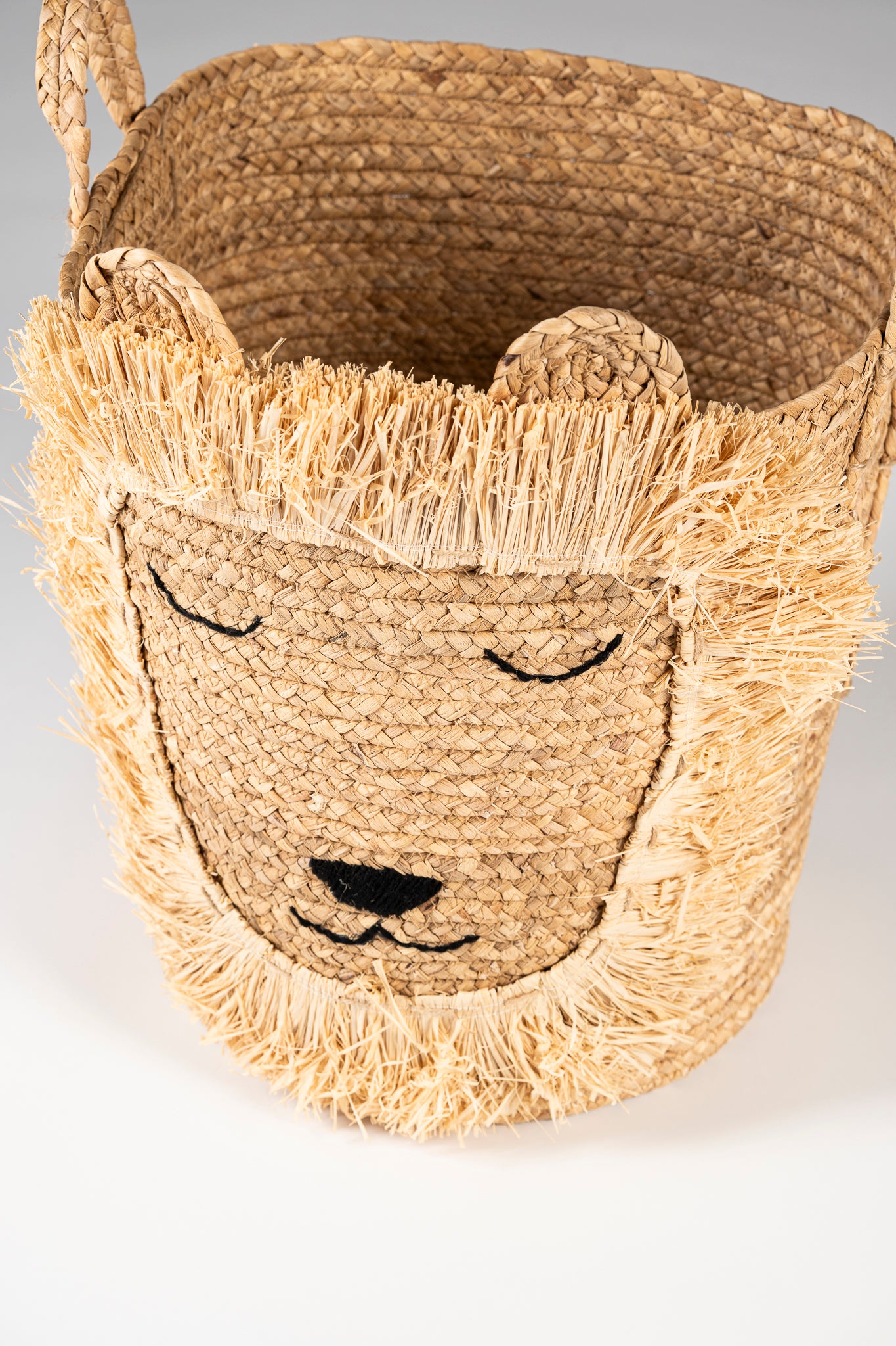 Large Lion Basket