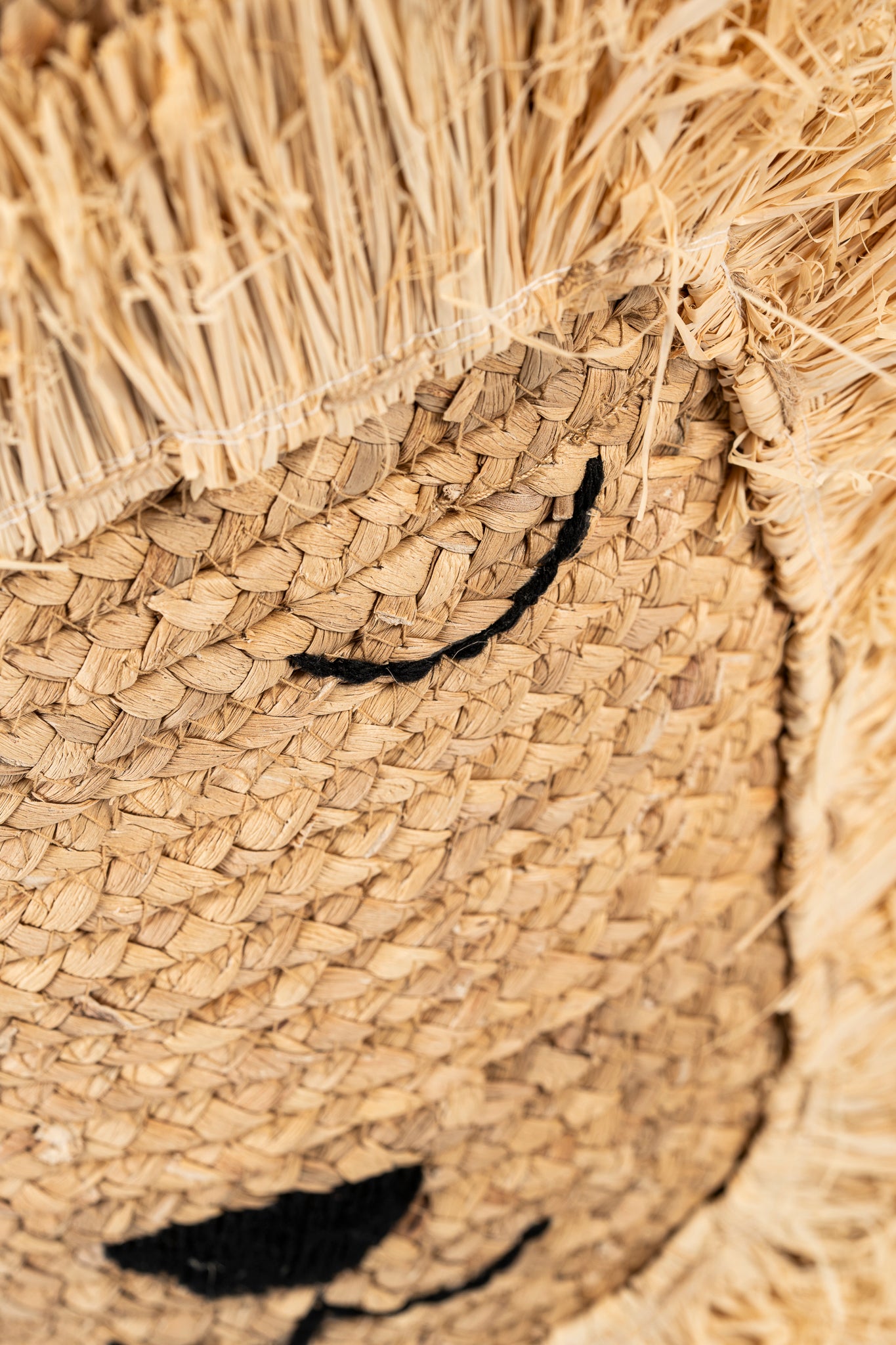 Large Lion Basket